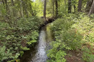 2216 Hwy 141, Trout Lake, WA 98650 - Photo 3