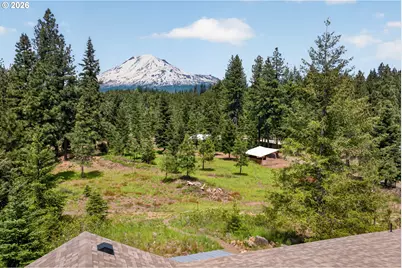 2216 Highway 141, Trout Lake, WA 98650 - Photo 1