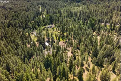 2216 Highway 141, Trout Lake, WA 98650 - Photo 45
