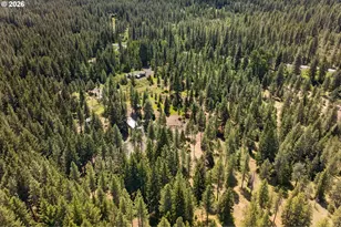 2216 Hwy 141, Trout Lake, WA 98650 - Photo 45