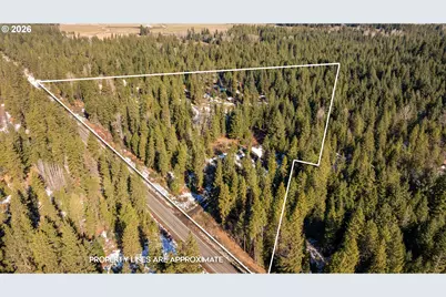 2216 Highway 141, Trout Lake, WA 98650 - Photo 41
