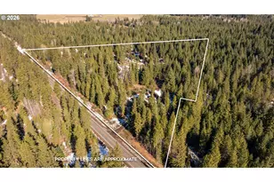 2216 Hwy 141, Trout Lake, WA 98650 - Photo 41