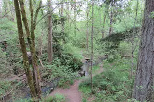 310 NW 116th Ave, Portland, OR 97229 - Photo 37