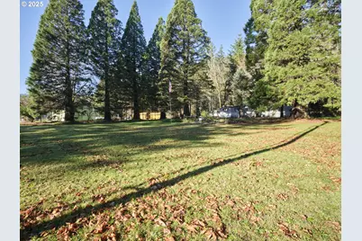 11846 Lewis River Rd, Ariel, WA 98603 - Photo 5