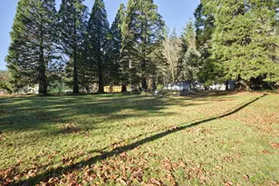 11846 Lewis River Rd, Ariel, WA 98603 - Photo 5