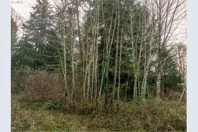 Tl 7301 Akin St, Wheeler, OR 97147 - Photo 7