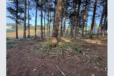 Ophir Rd, Gold Beach, OR 97444 - Photo 13