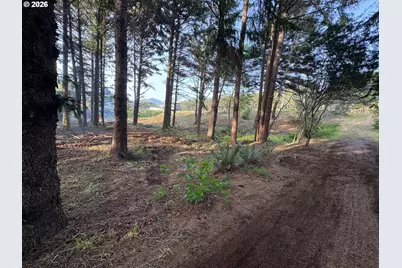 Ophir Rd, Gold Beach, OR 97444 - Photo 9