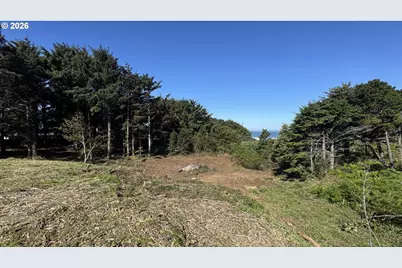 Ophir Rd, Gold Beach, OR 97444 - Photo 5