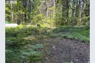 Cabin 100 Northwoods, Cougar, WA 98616 - Photo 23