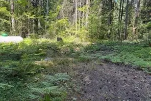 Cabin 100 Northwoods, Cougar, WA 98616 - Photo 23