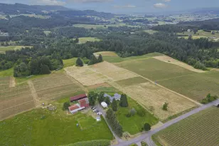 21080 NE Ribbon Ridge Rd, Newberg, OR 97132 - Photo 37