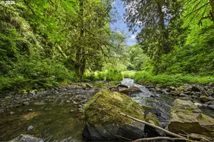 865 W Columbia River Hwy, Clatskanie, OR 97016 - Photo 29