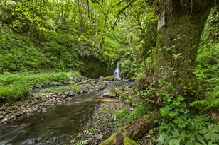 865 W Columbia River Hwy, Clatskanie, OR 97016 - Photo 31