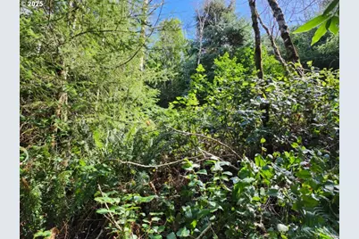 Jefferson St #Lot 1&6, Port Orford, OR 97465 - Photo 7