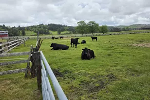 91146 Pioneer Farm Rd, Warrenton, OR 97146 - Photo 15