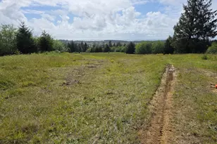 91146 Pioneer Farm Rd, Warrenton, OR 97146 - Photo 29