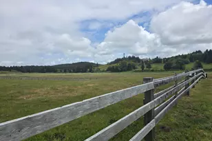 91146 Pioneer Farm Rd, Warrenton, OR 97146 - Photo 3