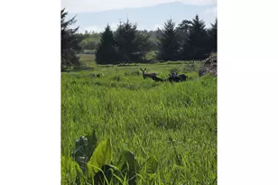 91146 Pioneer Farm Rd, Warrenton, OR 97146 - Photo 25