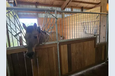 91146 Pioneer Farm Rd, Warrenton, OR 97146 - Photo 11