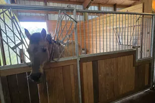 91146 Pioneer Farm Rd, Warrenton, OR 97146 - Photo 11