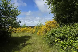 91146 Pioneer Farm Rd, Warrenton, OR 97146 - Photo 23