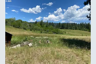 47664 Ryall Rd, Halfway, OR 97834 - Photo 5