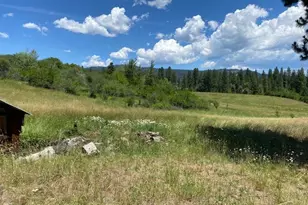 47664 Ryall Rd, Halfway, OR 97834 - Photo 5