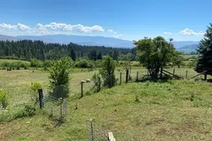 47664 Ryall Rd, Halfway, OR 97834 - Photo 3