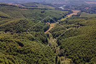 61842 Davis Slough Rd, Coos Bay, OR 97420 - Photo 11