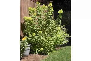 10705 NE 156th Ave, Vancouver, WA 98682 - Photo 47