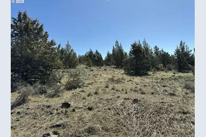 Bluebill Lane #Lot 3, Bonanza, OR 97623 - Photo 1