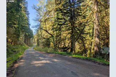 30460 E Rd 12 Lot 133, Rhododendron, OR 97049 - Photo 29