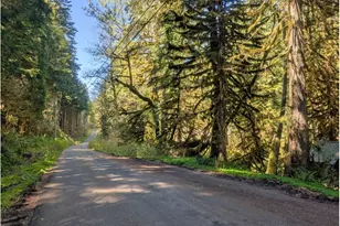 30460 E Rd 12 Lot 133, Rhododendron, OR 97049 - Photo 29