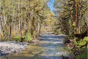 30460 E Rd 12 Lot 133, Rhododendron, OR 97049 - Photo 3