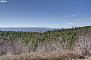 130 Upland Dr, Woodland, WA 98674 - Photo 41