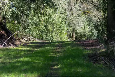 S Ringo Rd, Mulino, OR 97042 - Photo 35
