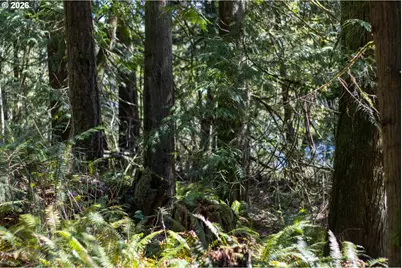 S Ringo Rd, Mulino, OR 97042 - Photo 35