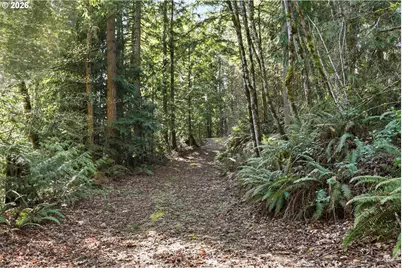 S Ringo Rd, Mulino, OR 97042 - Photo 7