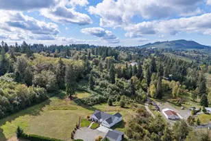 14907 NE 403rd St, Amboy, WA 98601 - Photo 29