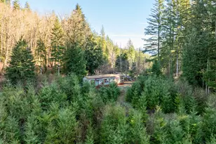 43902 NE Columbia Tie Rd, Amboy, WA 98601 - Photo 1