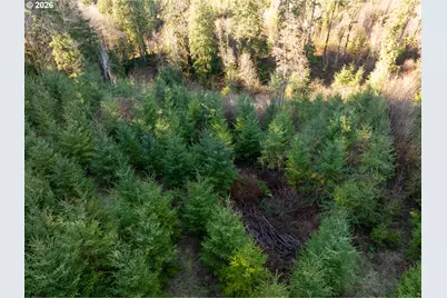 43902 NE Columbia Tie Rd, Amboy, WA 98601 - Photo 11