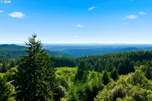 9100 NE Livingston Mountain Ct, Camas, WA 98607 - Photo 41