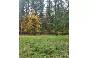 17811 NE 259th St, Battle Ground, WA 98604 - Photo 17