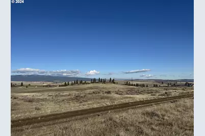 Lipo, Goldendale, WA 98620 - Photo 9