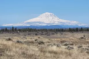 Lipo, Goldendale, WA 98620 - Photo 1