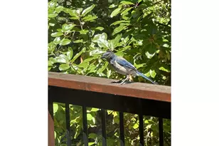 1196 Southridge Wy, Roseburg, OR 97470 - Photo 43