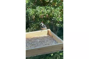 1196 Southridge Wy, Roseburg, OR 97470 - Photo 41