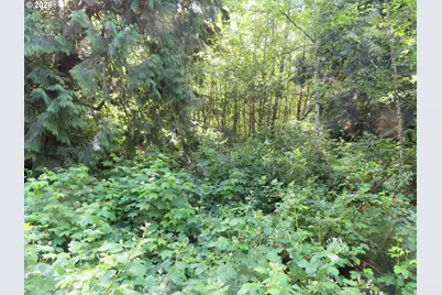 Sylvan Way, Longview, WA 98632 - Photo 13
