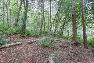 60272 Acme Rd, Coos Bay, OR 97420 - Photo 35